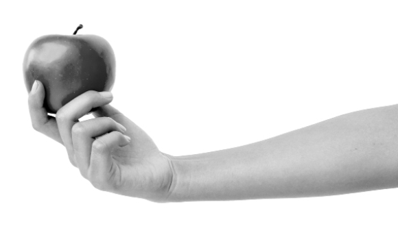 continued_support_image