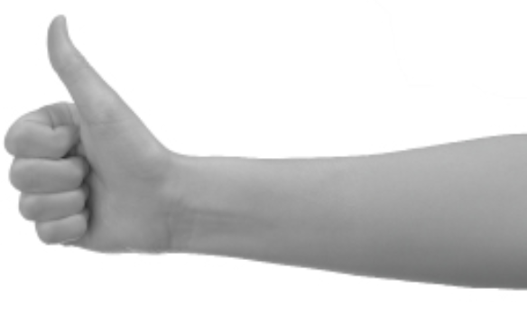 continued_support_image